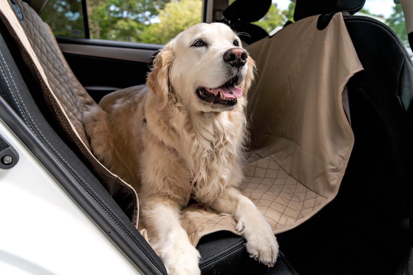 Vehicle Protectors for Travel