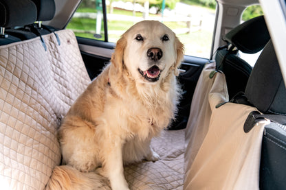 Vehicle Protectors for Travel
