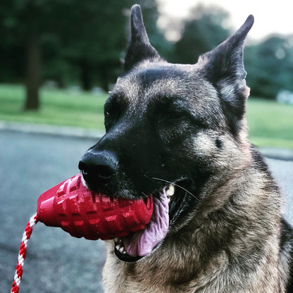 Grenade Shaped Rubber Dog Toy