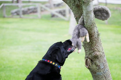 Squirrel Plush Dog Toy