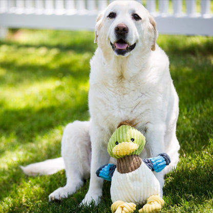 Duck Plush Dog Toy