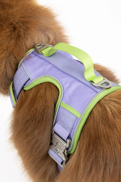 Ultimate Dog Harness