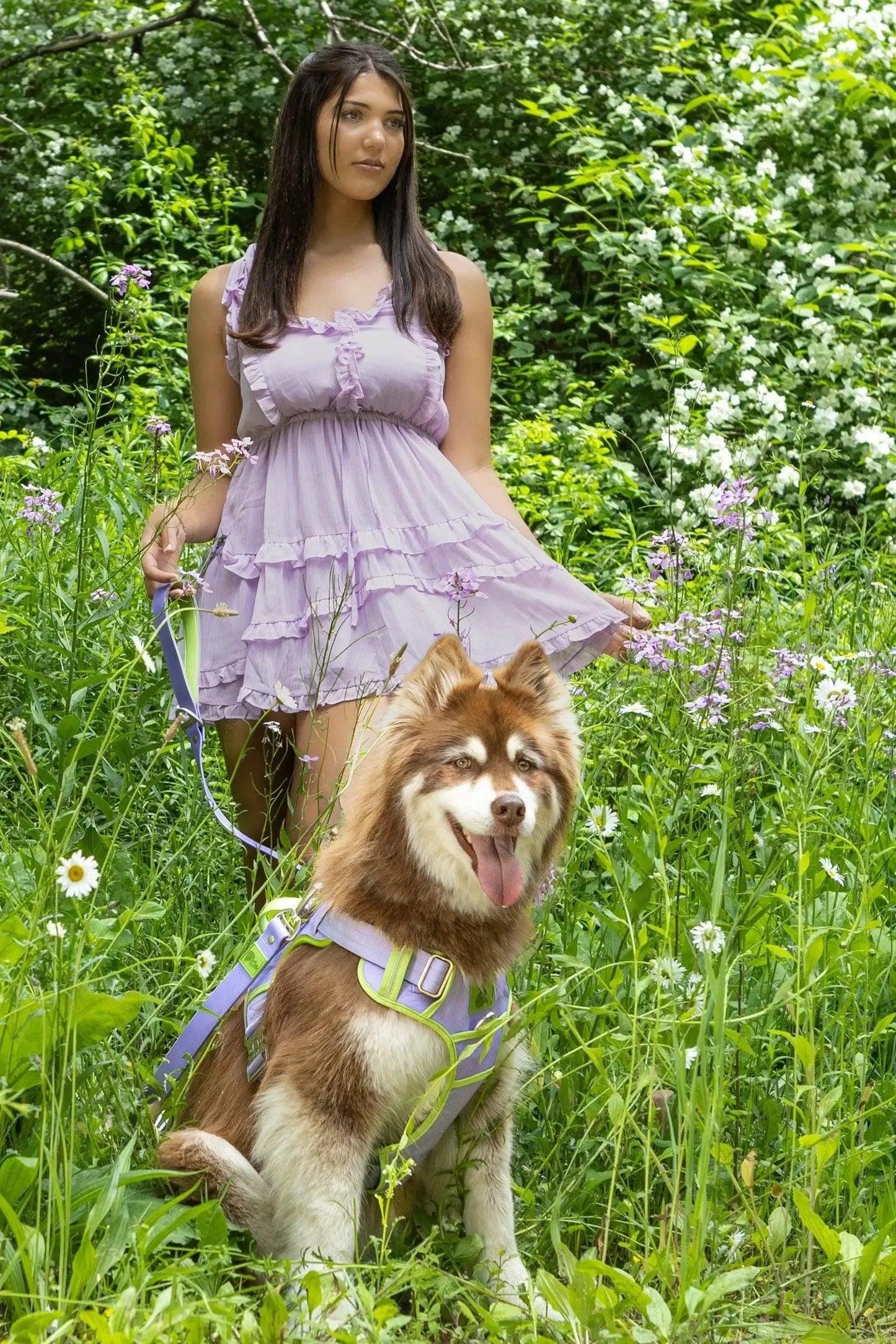 Ultimate Dog Harness