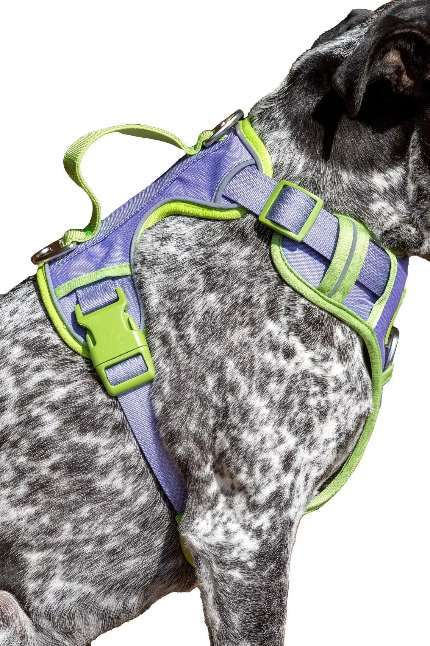 Ultimate Dog Harness