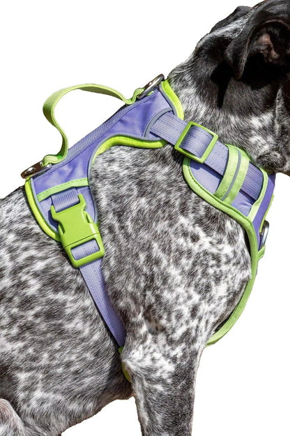 Ultimate Dog Harness