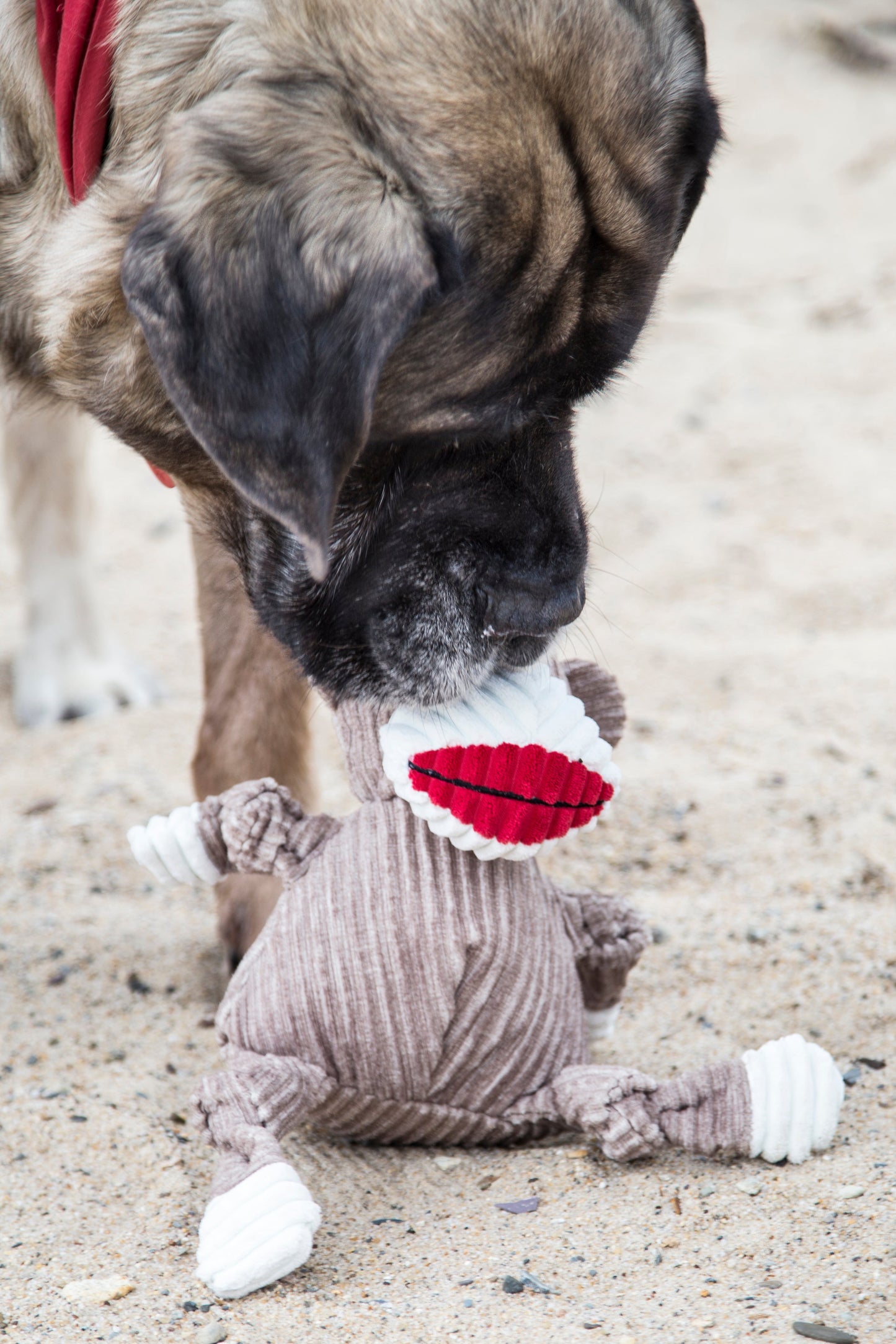 Sock Monkey Plush Dog Toy