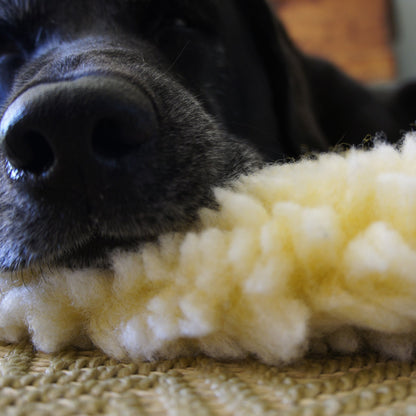 Cat & Dog Bed