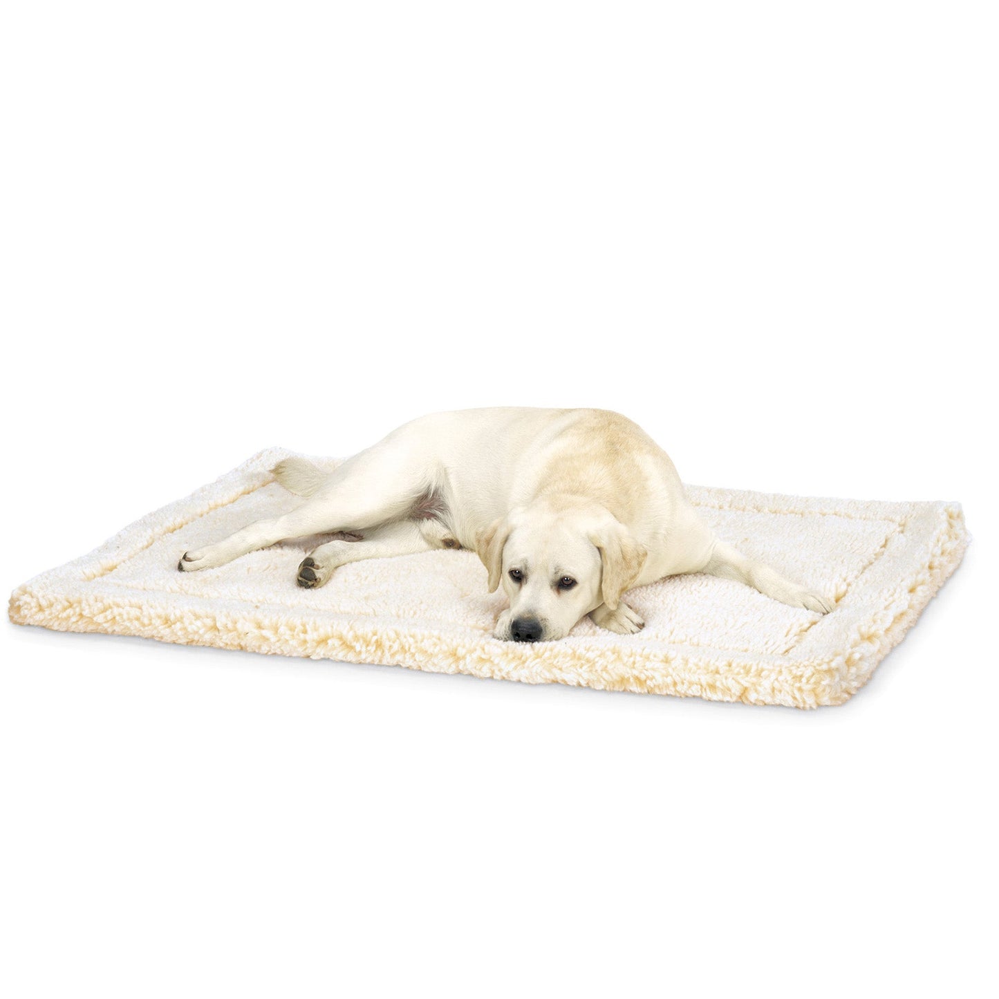 Cat & Dog Bed