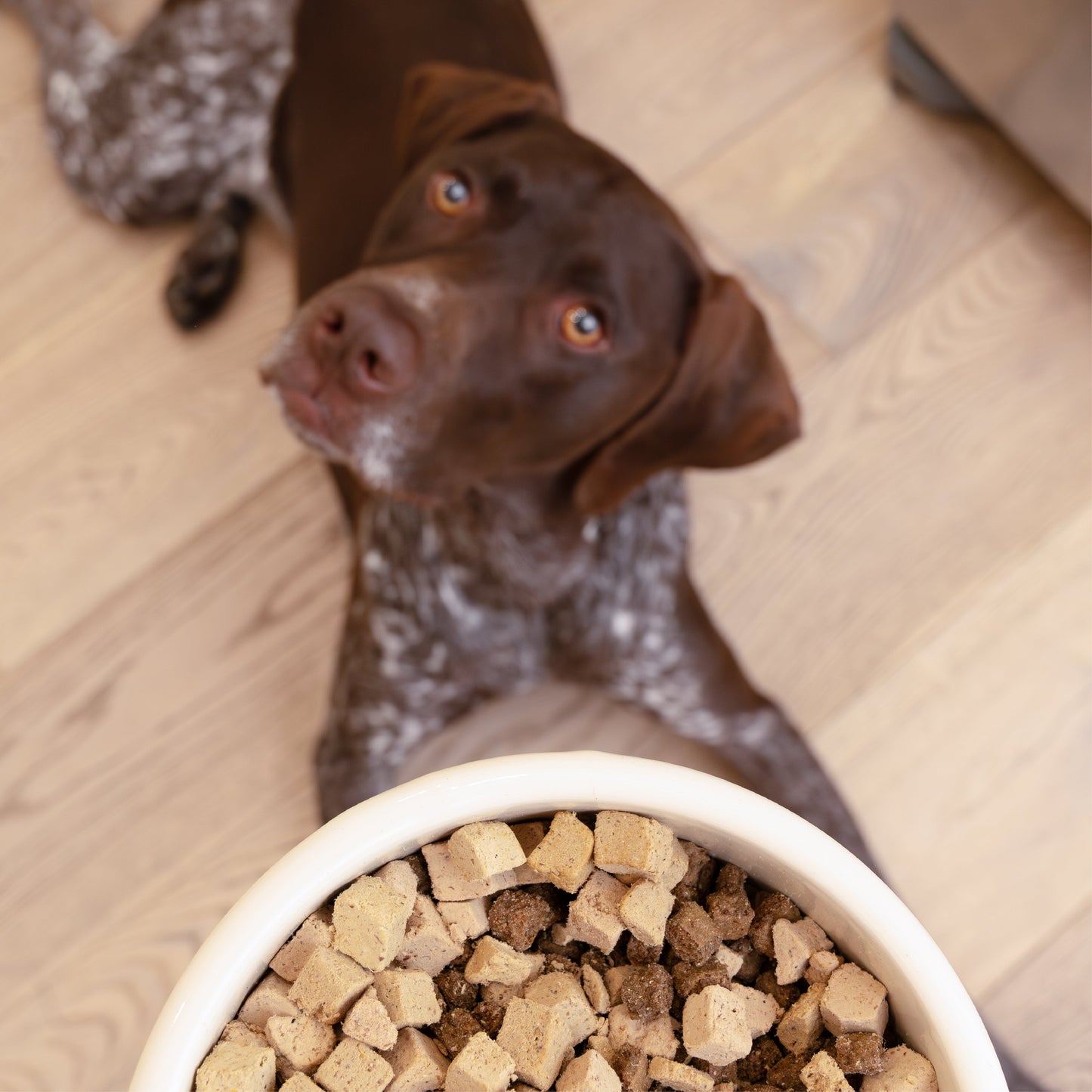 Dog Food Topper