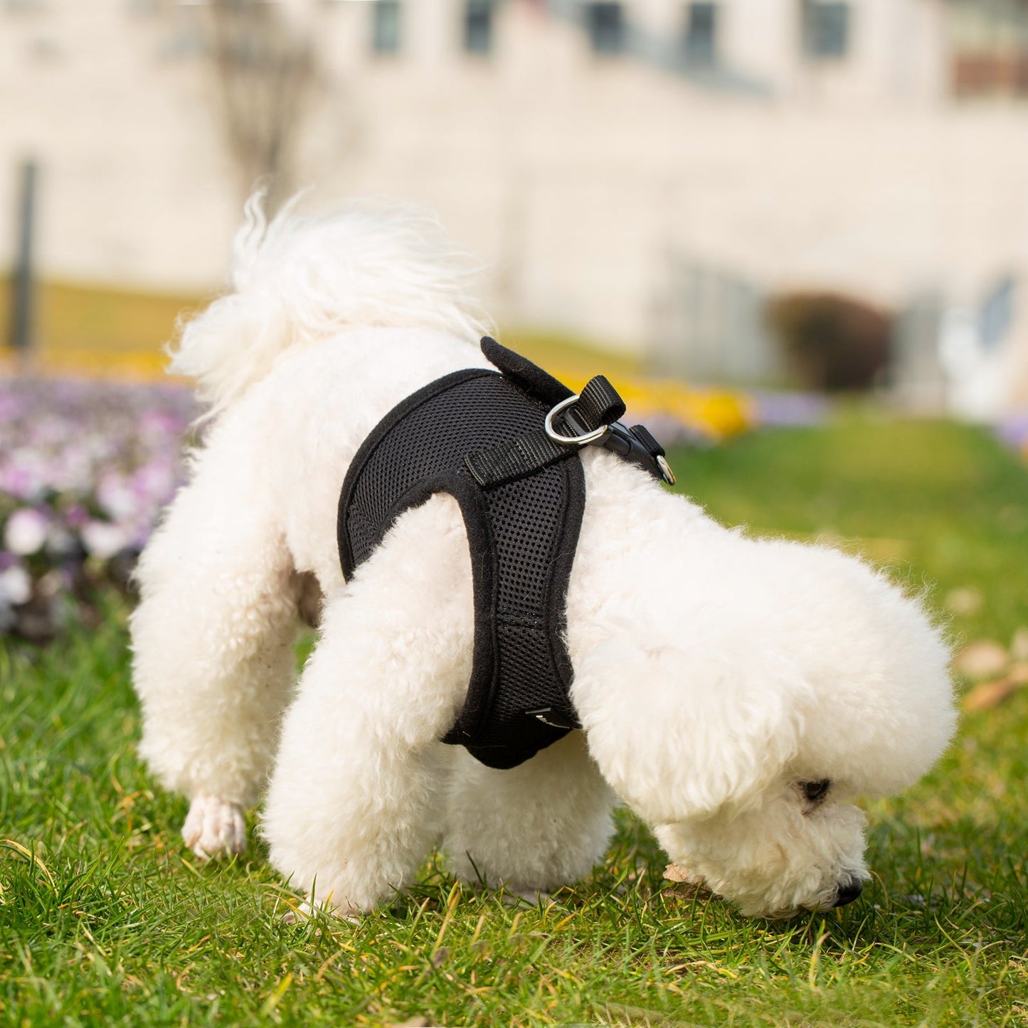 Soft Mesh Pet Harness with Matching Leash