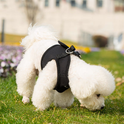 Soft Mesh Pet Harness with Matching Leash