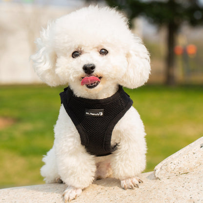 Soft Mesh Pet Harness with Matching Leash