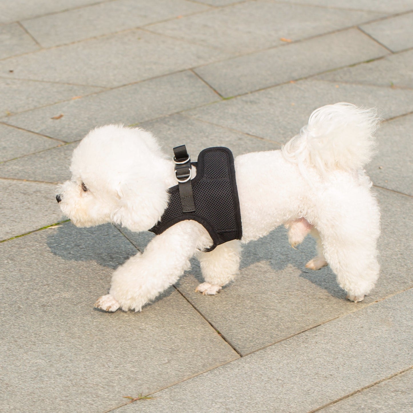 Soft Mesh Pet Harness with Matching Leash
