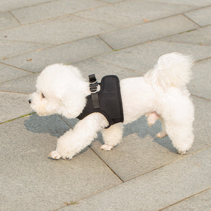 Soft Mesh Pet Harness with Matching Leash