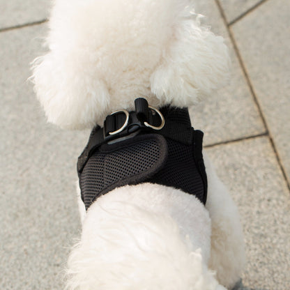 Soft Mesh Pet Harness with Matching Leash