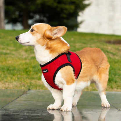 Soft Mesh Pet Harness with Matching Leash