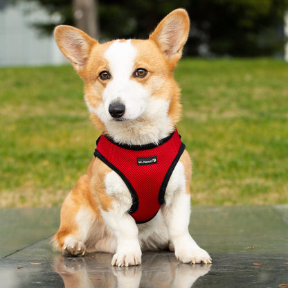 Soft Mesh Pet Harness with Matching Leash