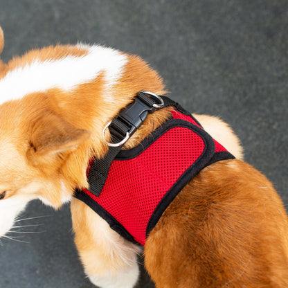 Soft Mesh Pet Harness with Matching Leash