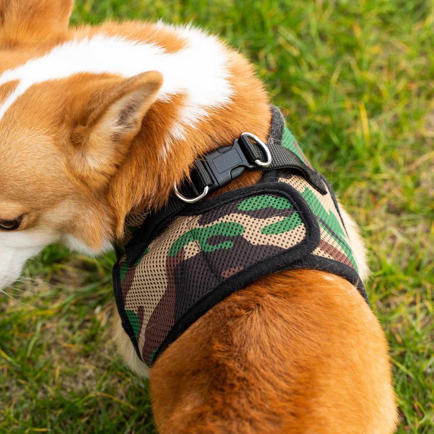 Soft Mesh Pet Harness with Matching Leash