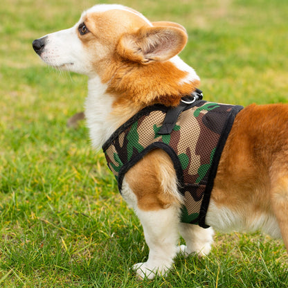 Soft Mesh Pet Harness with Matching Leash