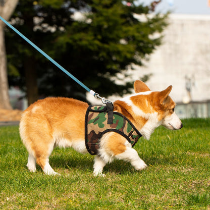 Soft Mesh Pet Harness with Matching Leash
