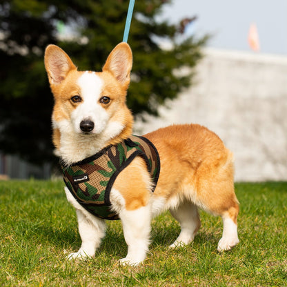 Soft Mesh Pet Harness with Matching Leash