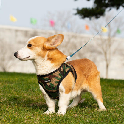 Soft Mesh Pet Harness with Matching Leash