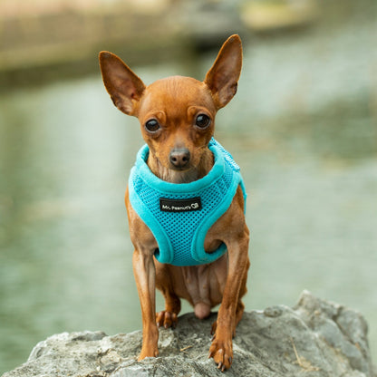 Soft Mesh Pet Harness with Matching Leash