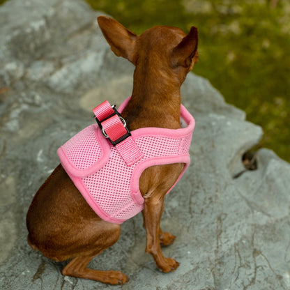 Soft Mesh Pet Harness with Matching Leash