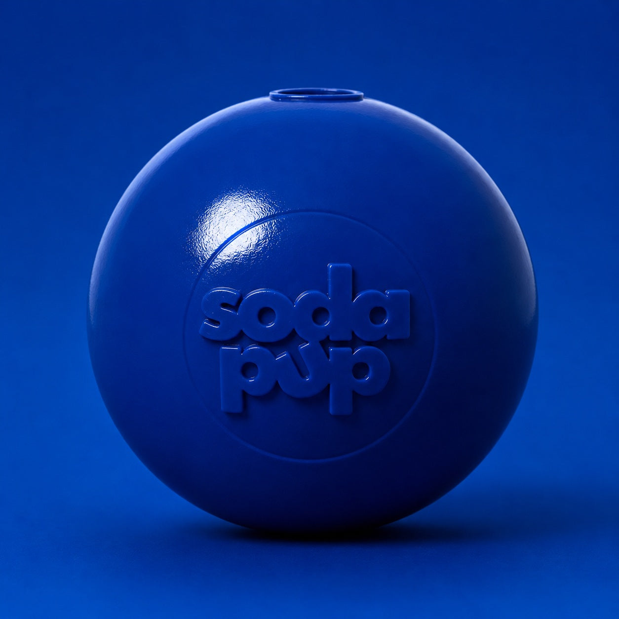 Squeak Ball - Chew Toy