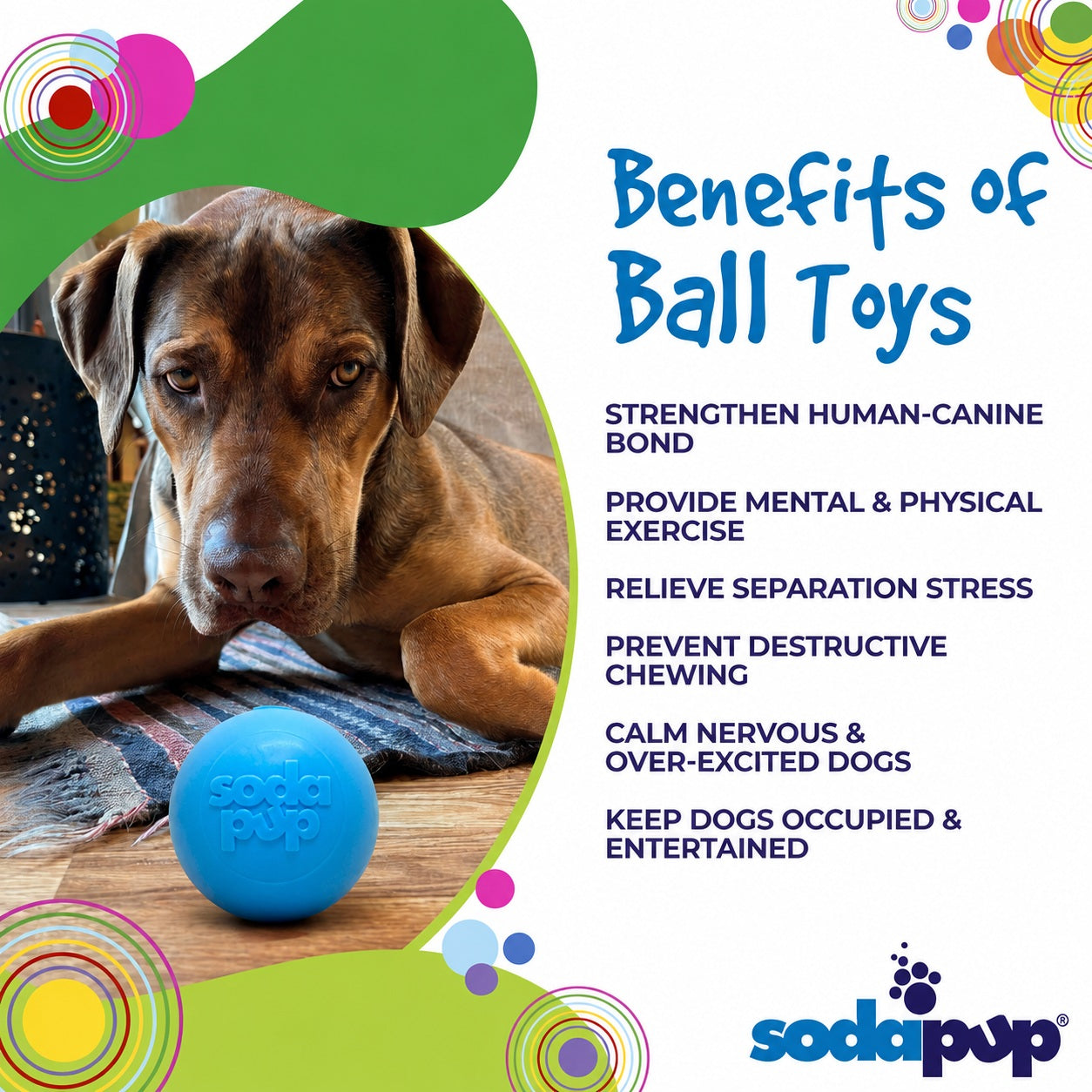 Squeak Ball - Chew Toy