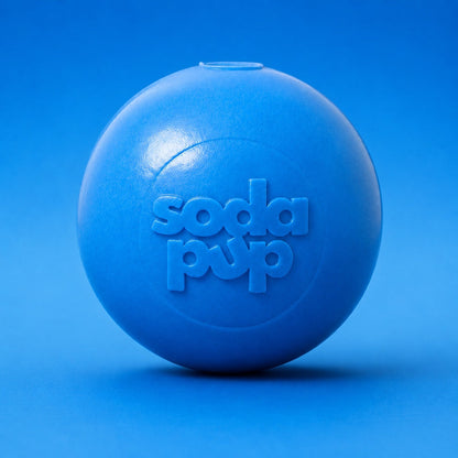 Squeak Ball - Chew Toy