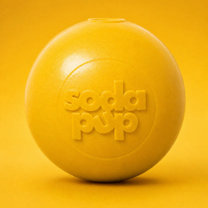 Squeak Ball - Chew Toy