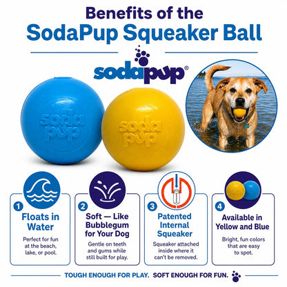 Squeak Ball - Chew Toy