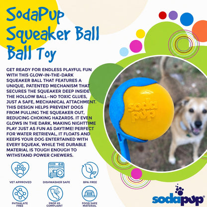 Squeak Ball - Chew Toy