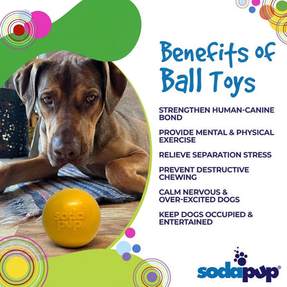 Squeak Ball - Chew Toy