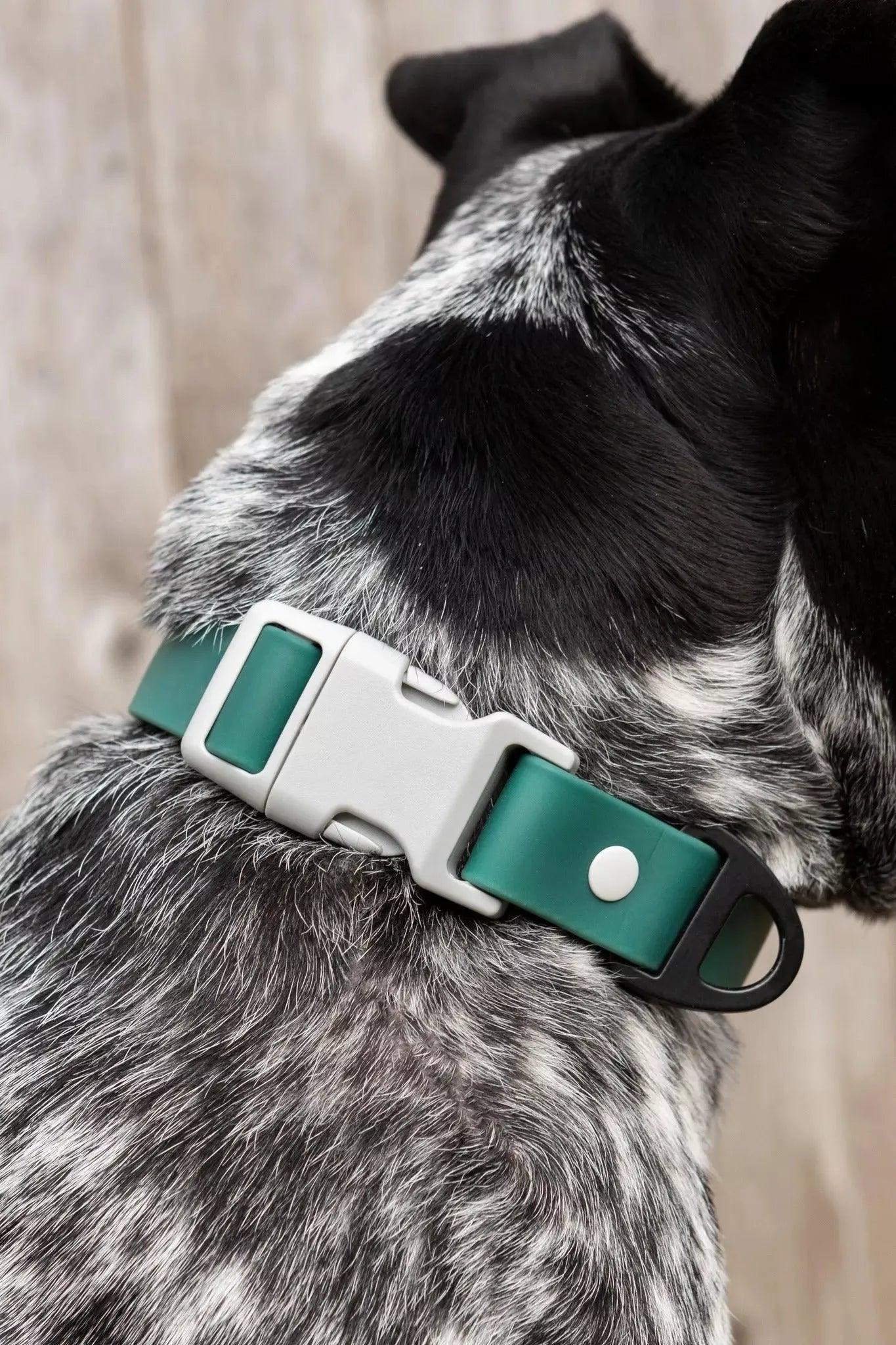 Waterproof Dog Collar
