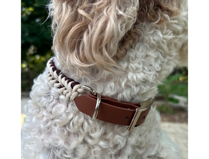 Hand Braided Dog Collar