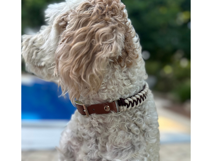 Hand Braided Dog Collar
