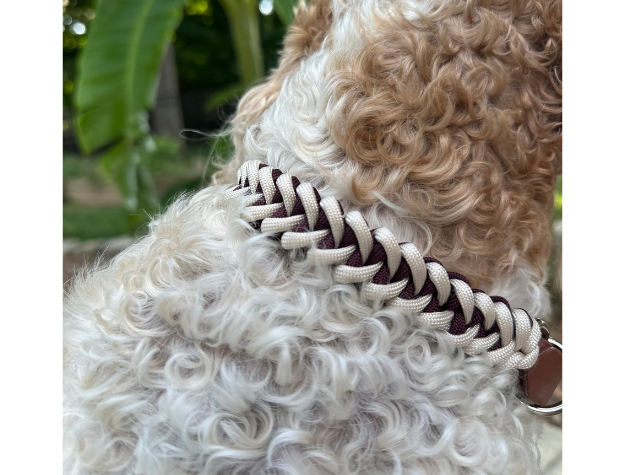 Hand Braided Dog Collar