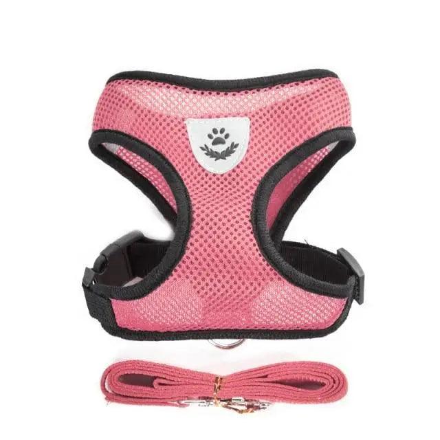 Adjustable Dog Harness