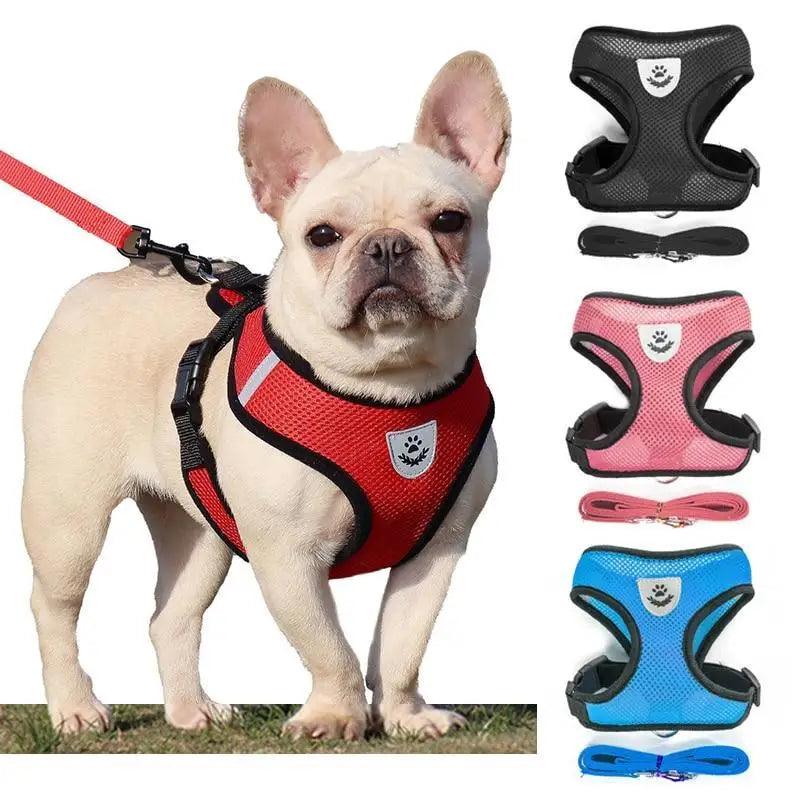 Adjustable Dog Harness