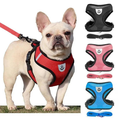 Adjustable Dog Harness