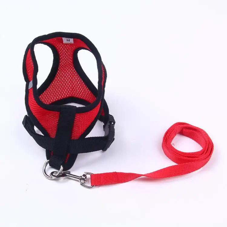 Adjustable Dog Harness