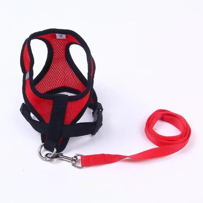 Adjustable Dog Harness