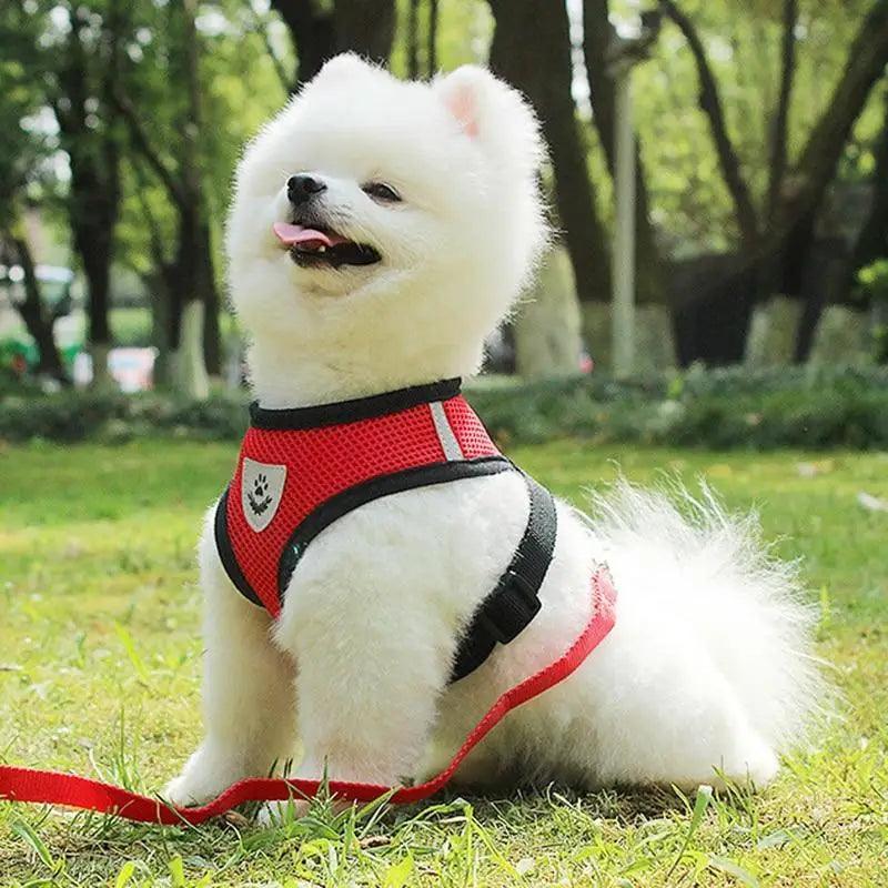 Adjustable Dog Harness