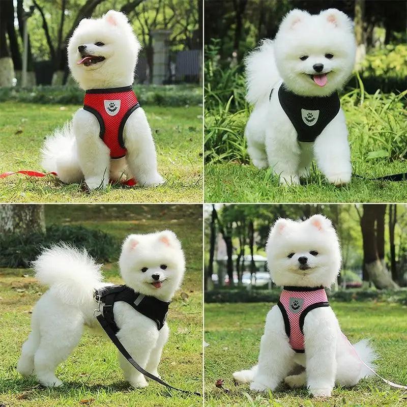 Adjustable Dog Harness