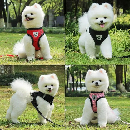 Adjustable Dog Harness