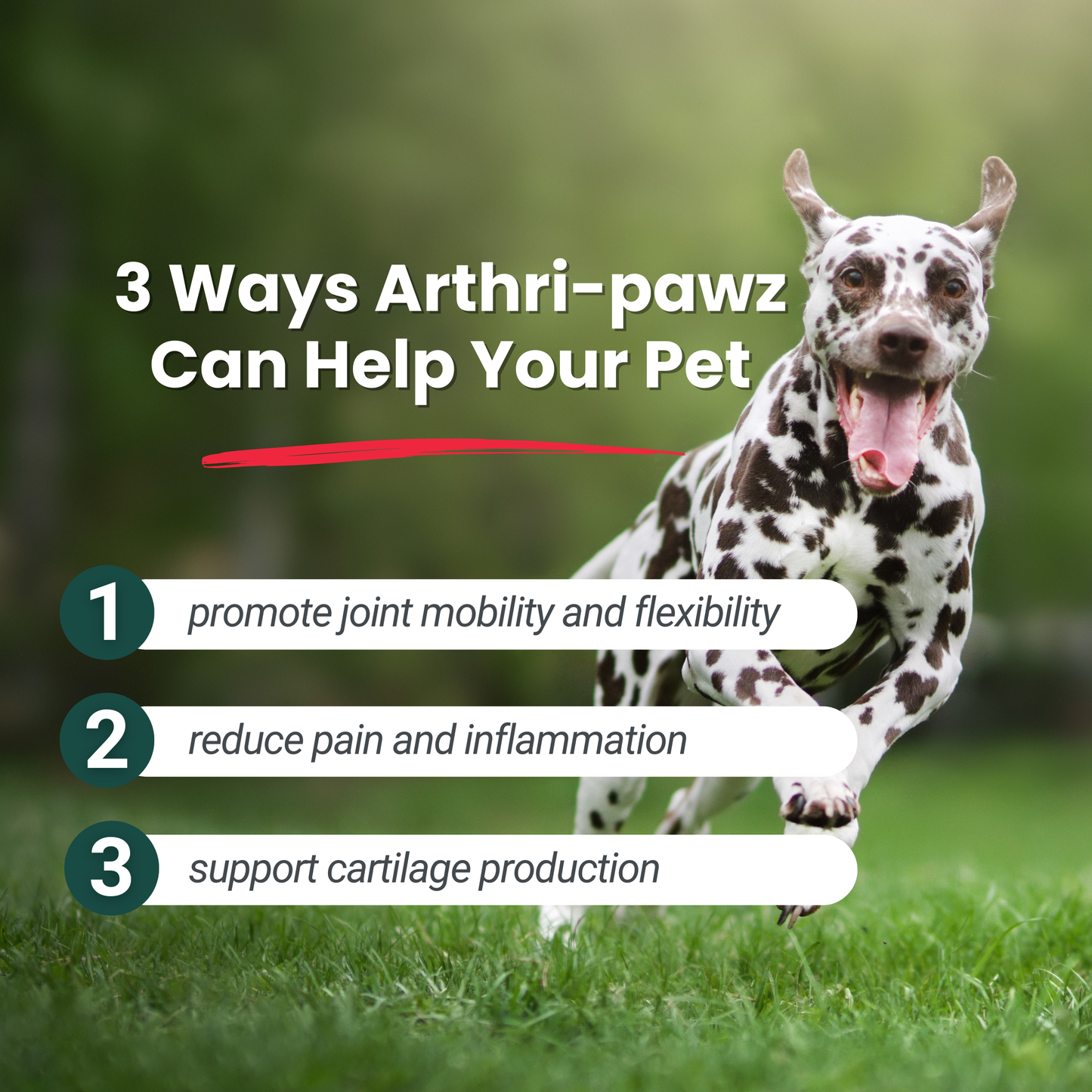 Arthri-Pawz – with Glucosamine