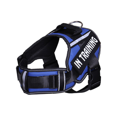 Reflective Dog Leash For Chest Harness